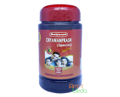 Chyawanprash Special Baidyanath, 500 grammes