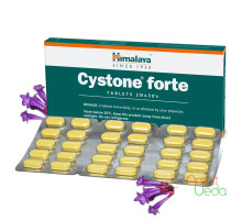 Cystone Forte, 60 comprimés