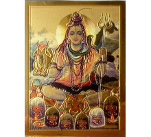 Aimant Shiva (Magnet Shiva)